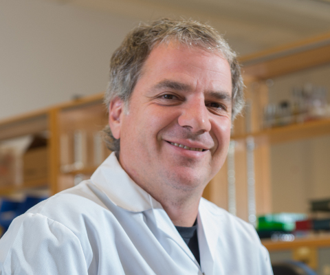 Gary Kobinger, Director, CHUL and Centre de recherche en infectiologie, Université Laval.