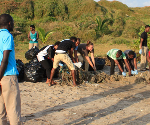 Canadians and Africans pulling weeds on a shoreline.
