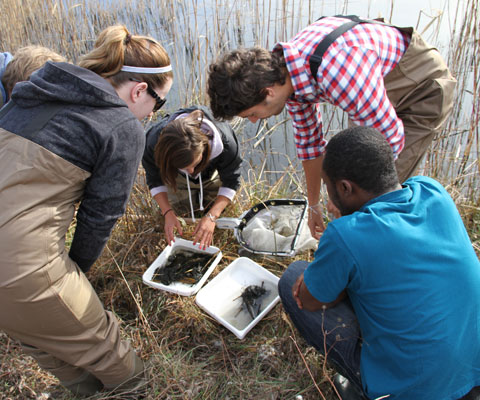 Group of biology students placing fish in containers near a river.