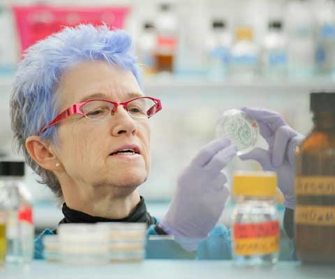Une chercheuse avec des cheveux teints à couleur de lilas travaille dans dans un laboratoire.