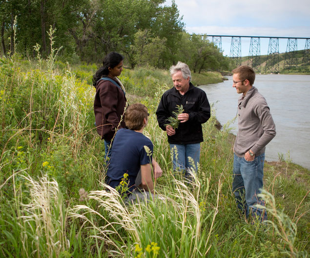 Quatre chercheurs debout étudient des plantes sur la rive d
