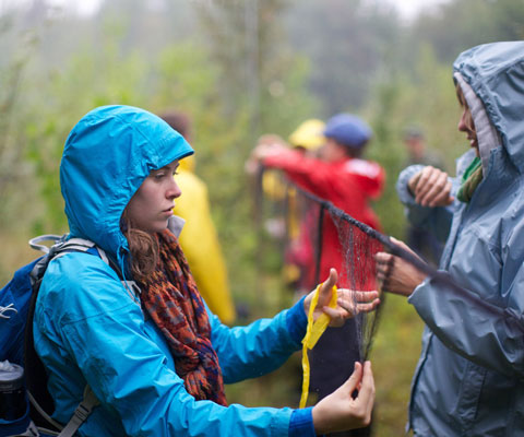 A female student wearing a blue rain jacket conducts environmental research outdoors in the rain.