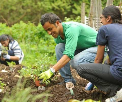 Students planting in a garden.