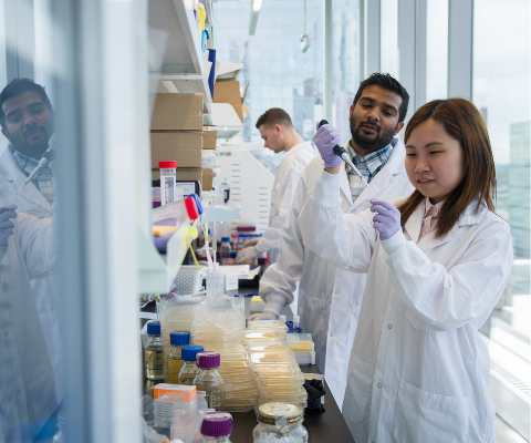 Two university students wearing white lab coats and purple latex gloves conduct their research in a laboratory.