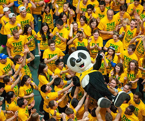 Panda bear mascot being lifted up in a crowd of students