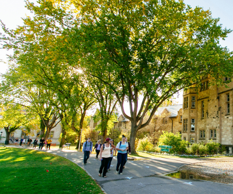 Students walking through a campus on a fall day.