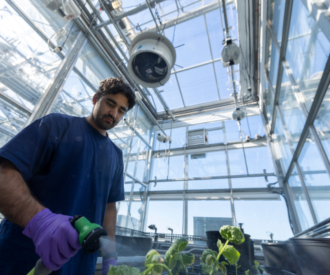 Student in a greenhouse / Étudiant dans une serre
