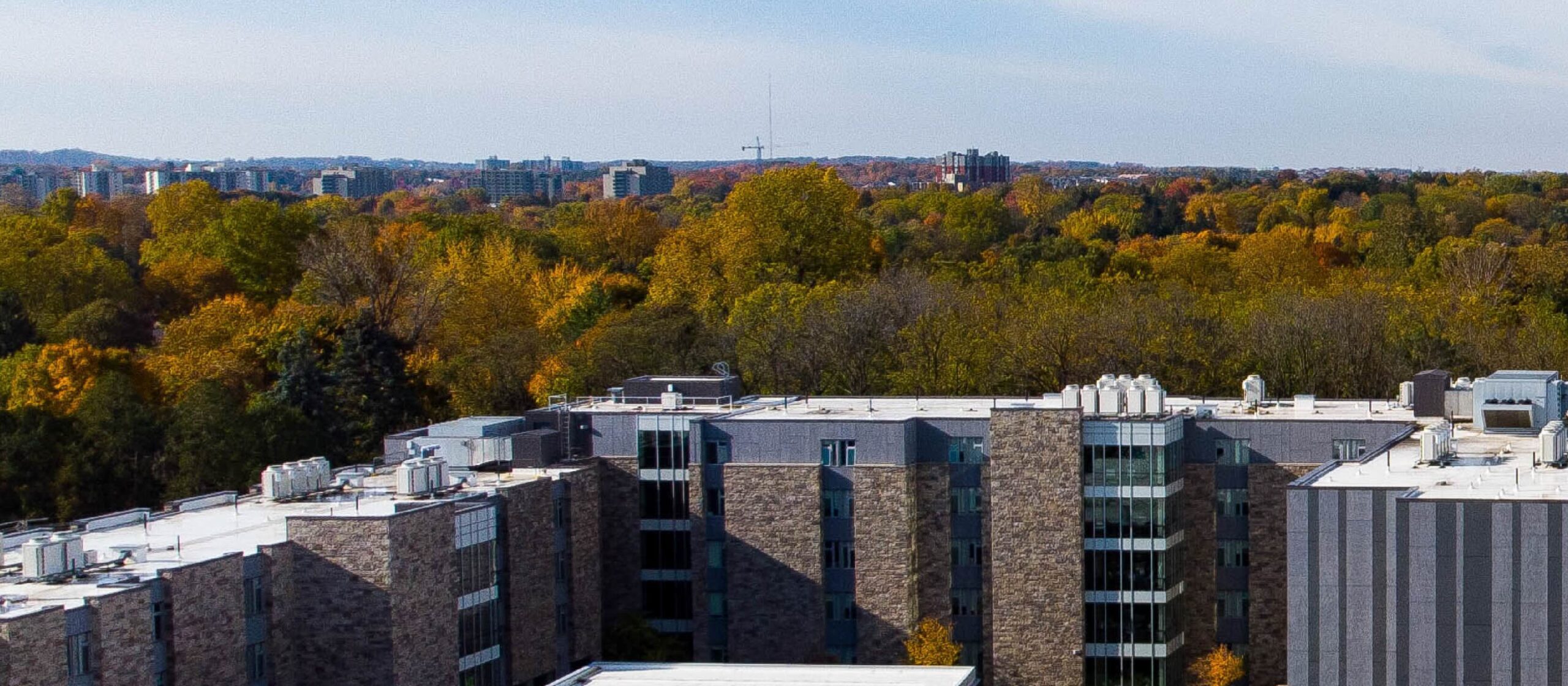 Aerial view of building and trees