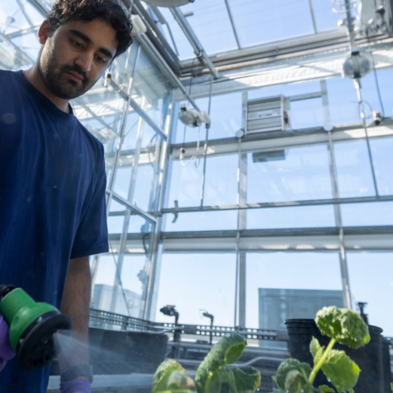 Student in a greenhouse