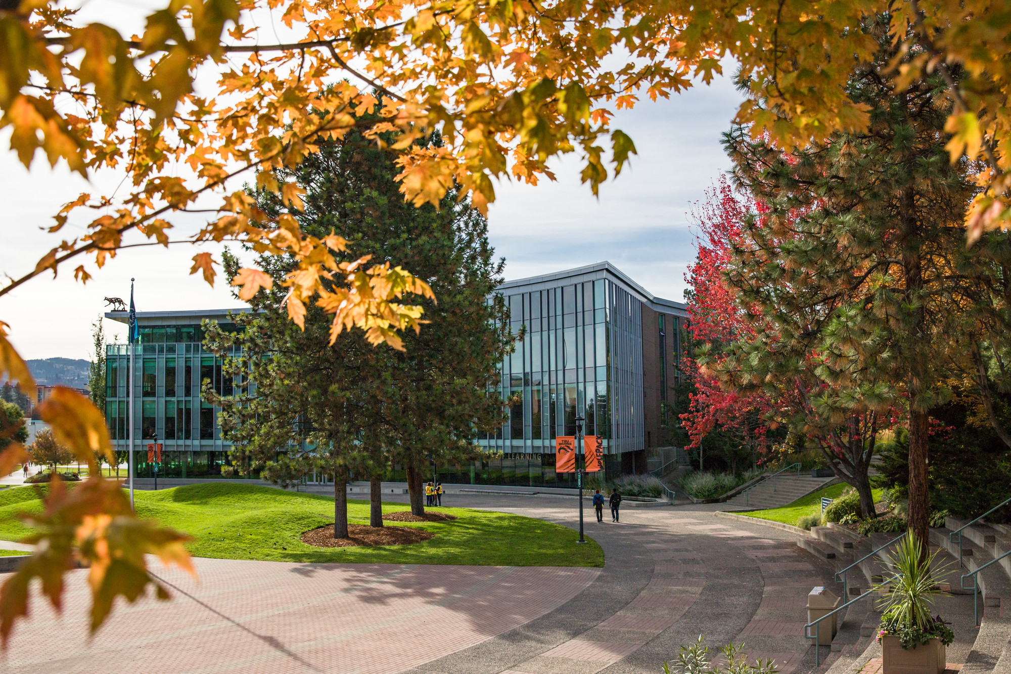 Campus shot in fall