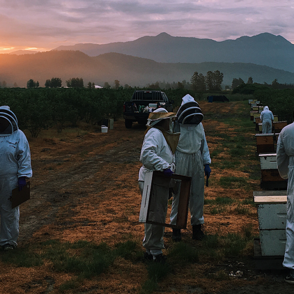 Group of beekeepers wearing protective gear in a field