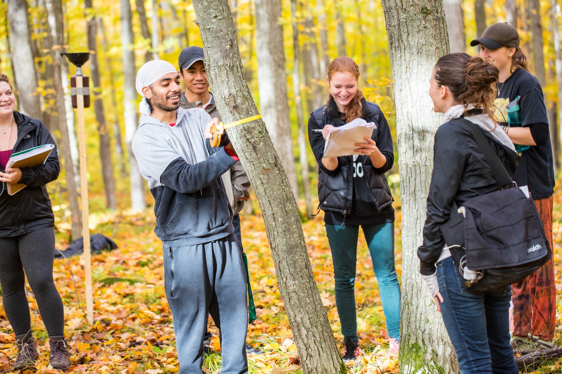 Group of students researching outside in forest