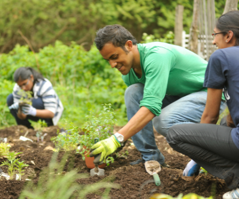 Students planting vegetables in field