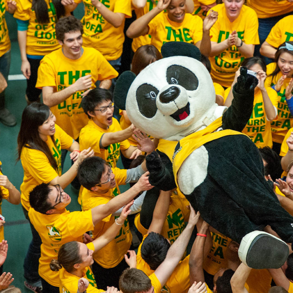 Panda bear mascot being lifted up in a crowd of students