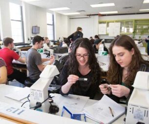 Students working in a classroom.