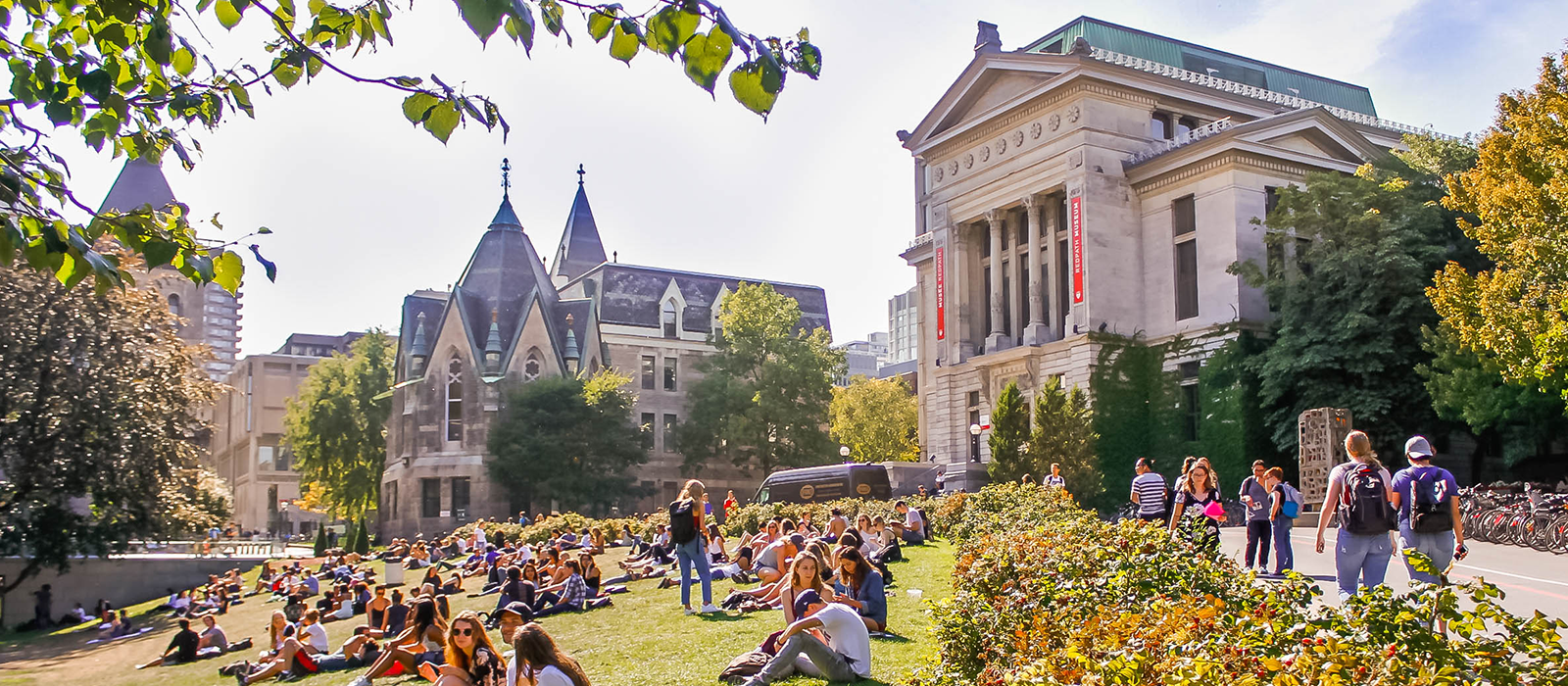 Students siting in the university garden