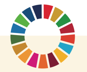 sdg-report-2021