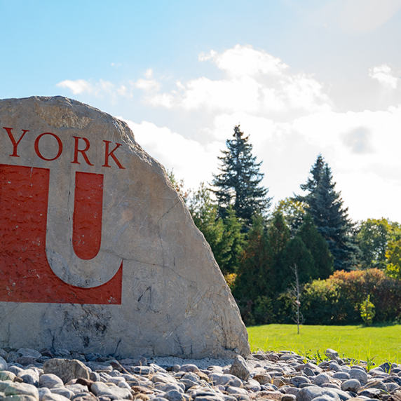 York university symbol on stone