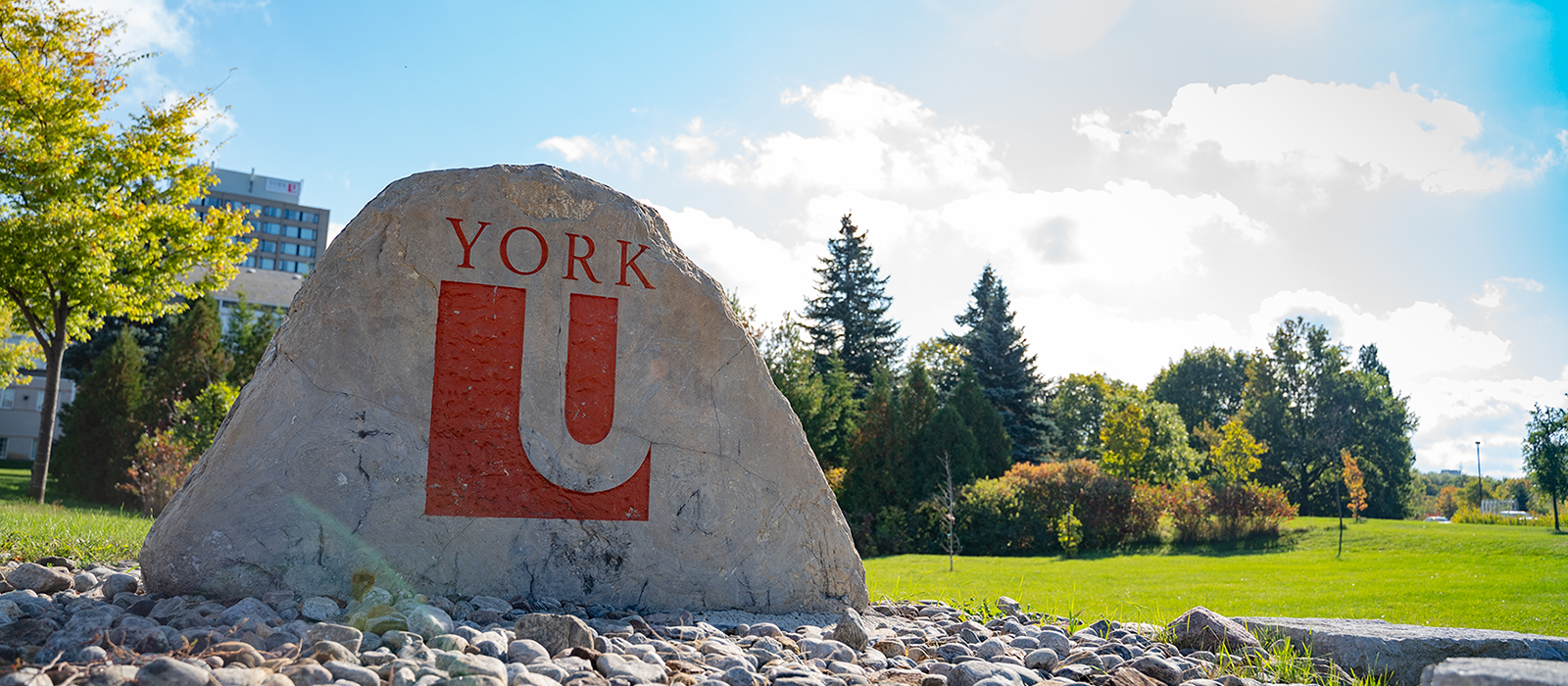 York university symbol on stone