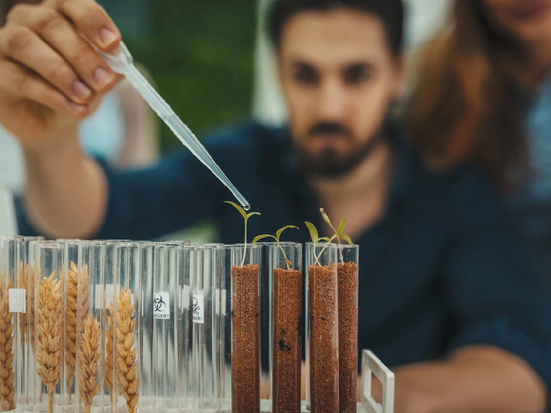 Man in laboratory experimenting on grains.