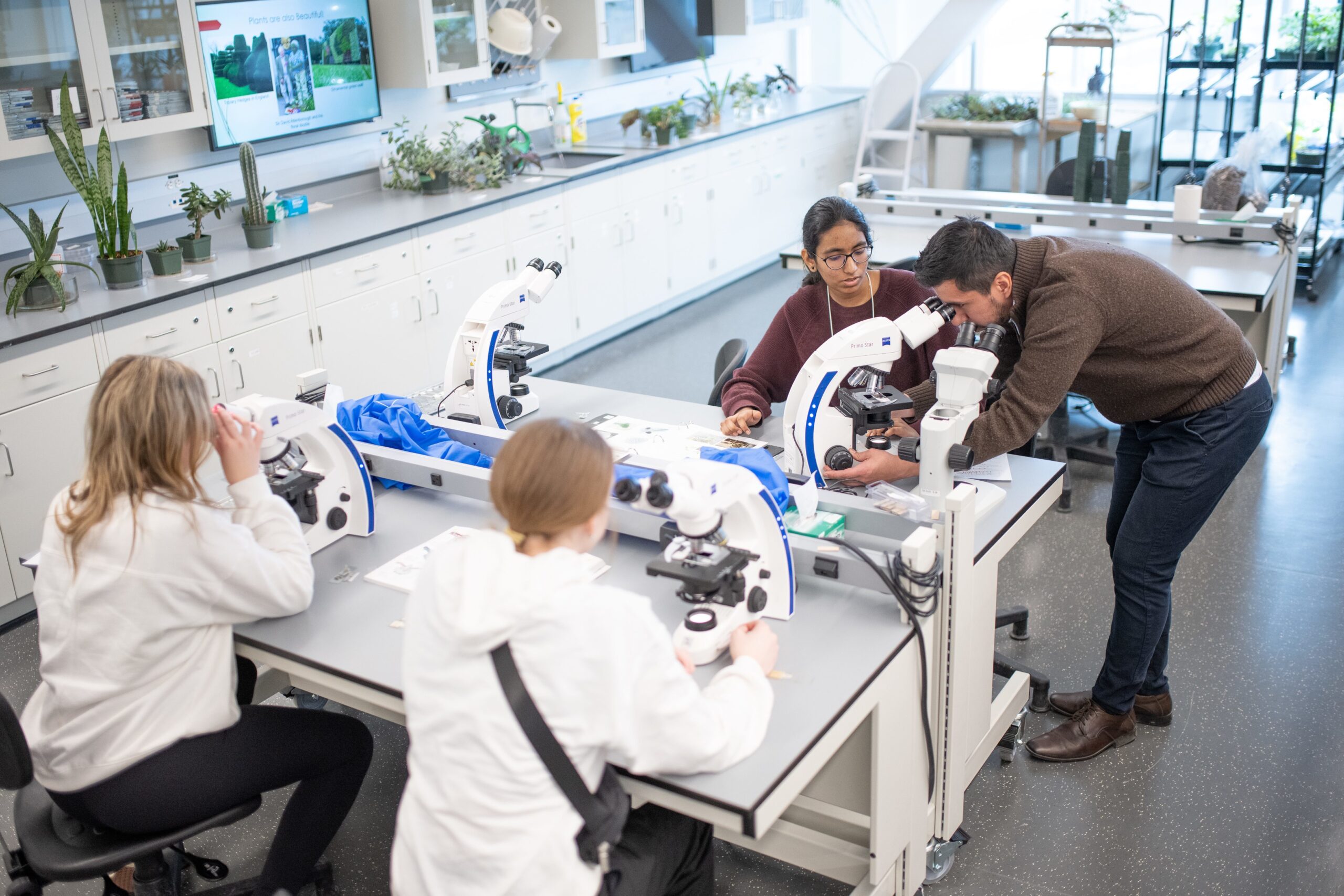 Étudiants dans un laboratoire utilisant des microscopes.