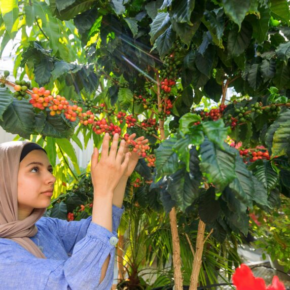 Une femme s'occupant des plantes dans une serre.
