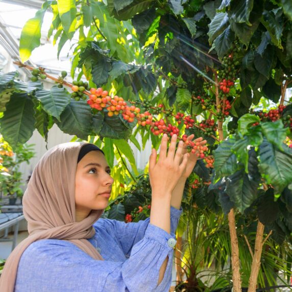 A woman working with trees in a greenhouse.