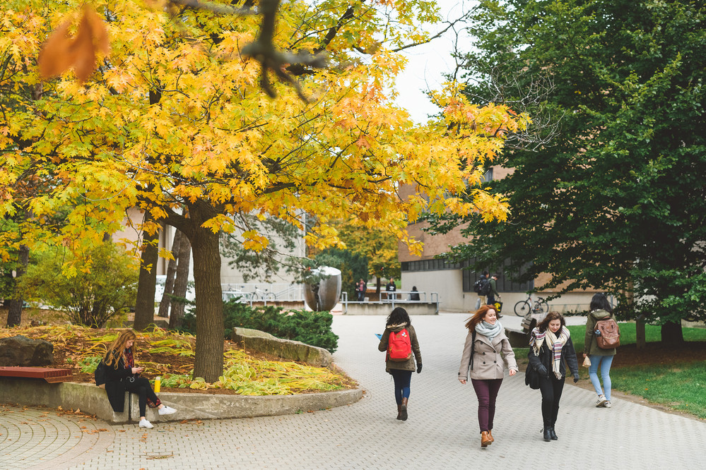 Students walking outside on a university campus in fall.